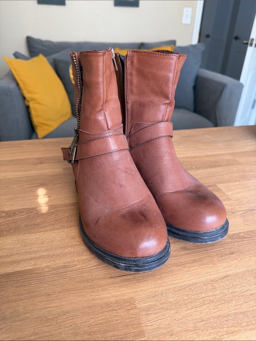 torrid Brown Leather Ankle Boots with Gold Zipper